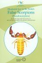 Illustrated Key to the British False Scorpions (Pseudoscorpions)
