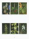 Orchids of the Guianas (Guyana, Suriname, French Guiana), Volume 1