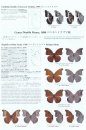 The Butterflies of Thailand, Volume 3: Nymphalidae [English / Japanese]