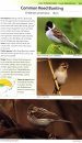 Birds of Japan and North-East Asia