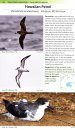 Birds of Japan and North-East Asia