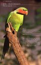 A Photographic Field Guide to the Birds of India, Pakistan, Nepal, Bhutan, Sri Lanka, and Bangladesh