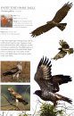 A Photographic Field Guide to the Birds of India, Pakistan, Nepal, Bhutan, Sri Lanka, and Bangladesh