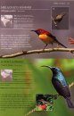A Photographic Field Guide to the Birds of India, Pakistan, Nepal, Bhutan, Sri Lanka, and Bangladesh