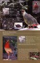 A Photographic Field Guide to the Birds of India, Pakistan, Nepal, Bhutan, Sri Lanka, and Bangladesh