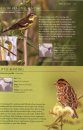 A Photographic Field Guide to the Birds of India, Pakistan, Nepal, Bhutan, Sri Lanka, and Bangladesh