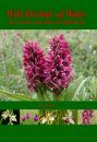 Wild Orchids of Wales