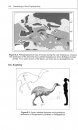 Paleobiology of Giant Flightless Birds