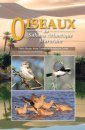 Oiseaux du Sahara Atlantique Marocain [Birds of the Moroccan Atlantic Sahara]