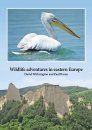 Wildlife Adventures in Eastern Europe