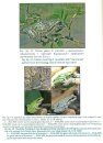 Amphibians of the Crimea [English / Ukranian]