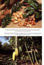 The Complete Book of Fruit Growing in Australia
