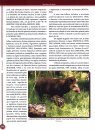 Mamíferos do Brasil [Mammals of Brazil]