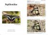 Butterflies of Brazil / Borboletas do Brasil (3-Volume Set)