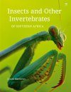 Insects and Other Invertebrates of Southern Africa