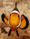 Marine Life of Southern Africa