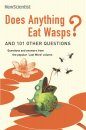 Does Anything Eat Wasps?
