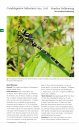 Field Guide to the Dragonflies of Britain and Europe
