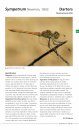 Field Guide to the Dragonflies of Britain and Europe