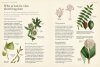 RHS Genealogy for Gardeners