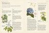 RHS Genealogy for Gardeners