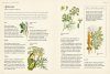 RHS Genealogy for Gardeners