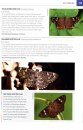 Photographic Field Guide Wildlife of Central India