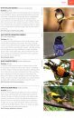 Photographic Field Guide Wildlife of Central India