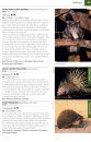 Photographic Field Guide Wildlife of Central India