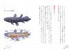 Shīrakansu no Nazo: Rikujō Seibutsu no Idenshi o Motsu Sakana [The Mystery of the Coelacanth: A Fish with Genes of Terrestrial Organisms]