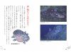 Shīrakansu no Nazo: Rikujō Seibutsu no Idenshi o Motsu Sakana [The Mystery of the Coelacanth: A Fish with Genes of Terrestrial Organisms]