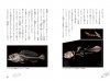 Shīrakansu no Nazo: Rikujō Seibutsu no Idenshi o Motsu Sakana [The Mystery of the Coelacanth: A Fish with Genes of Terrestrial Organisms]