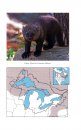 Mammals of the Great Lakes Region
