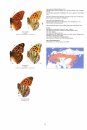 Nymphalidae Part 1 (Guide to the Butterflies of the Palearctic Region)