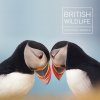 British Wildlife Photography Awards, Collection 8
