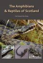 The Amphibians & Reptiles of Scotland