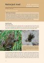 The Amphibians & Reptiles of Scotland