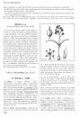 Flora d'Italia [Flora of Italy], Volume 1