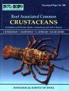 Reef Associated Common Crustaceans of Andaman and Nicobar Islands, Lakshadweep and Gulf of Mannar