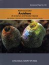 Reef Associated Ascidians of Andaman and Nicobar Islands