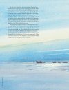 David Bellamy's Arctic Light