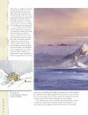 David Bellamy's Arctic Light
