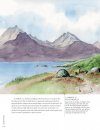 David Bellamy's Arctic Light