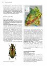 Die Laufkäfer Baden-Württembergs [The Ground Beetles of Baden-Württemberg] 