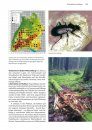 Die Laufkäfer Baden-Württembergs [The Ground Beetles of Baden-Württemberg] 