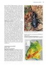 Die Laufkäfer Baden-Württembergs [The Ground Beetles of Baden-Württemberg] 
