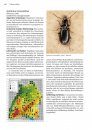 Die Laufkäfer Baden-Württembergs [The Ground Beetles of Baden-Württemberg] 
