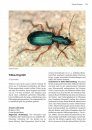 Die Laufkäfer Baden-Württembergs [The Ground Beetles of Baden-Württemberg] 
