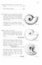SBF Volume 60: Marine Gastropods 1: Patellogastropoda and Vetigastropoda