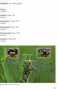Dragonflies and Damselflies of Europe